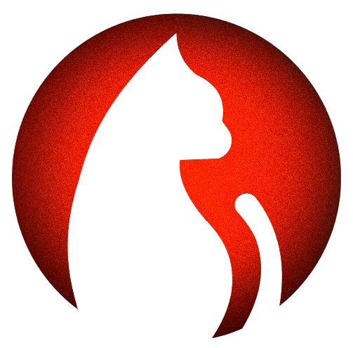 Android 追剧猫 v4.2.2 去广告纯净版