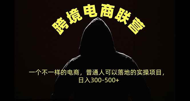 跨境电商联营，一个不一样的电商，普通人可操作日入300-500+