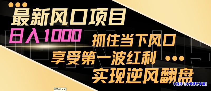 最新风口项目，日入过千，抓住当下风口，享受第一波红利，实现逆风翻盘