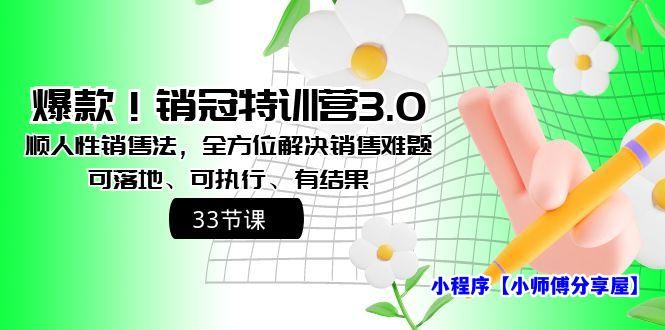 爆款！销冠特训营3.0之顺人性销售法，全方位解决销售难题、可落地、可执…