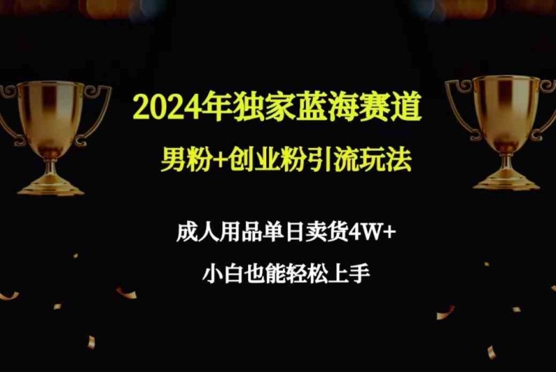 2024年独家蓝海赛道男粉+创业粉引流玩法，成人用品单日卖货4W+保姆教程