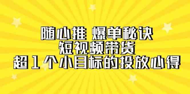 随心推 爆单秘诀，短视频带货-超1个小目标的投放心得（7节视频课）