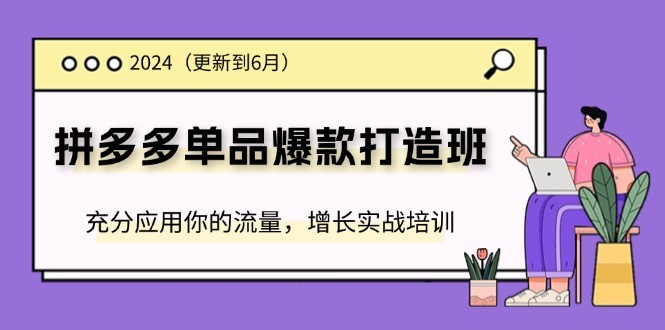 2024拼多多-单品爆款打造班(更新6月)，充分应用你的流量，增长实战培训