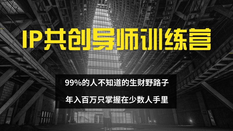 IP共创导师训练营 99%的人不知道的生财野路子 只掌握在少数人手里