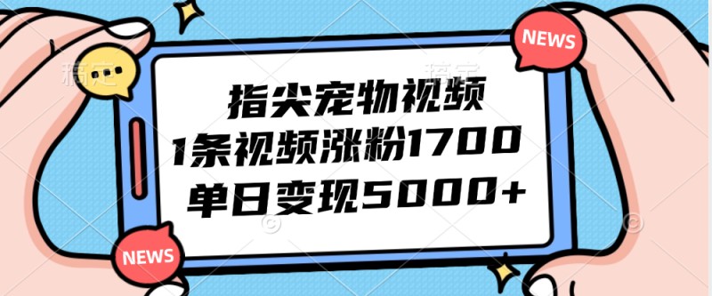 指尖宠物视频，1条视频涨粉1700，单日变现5000+