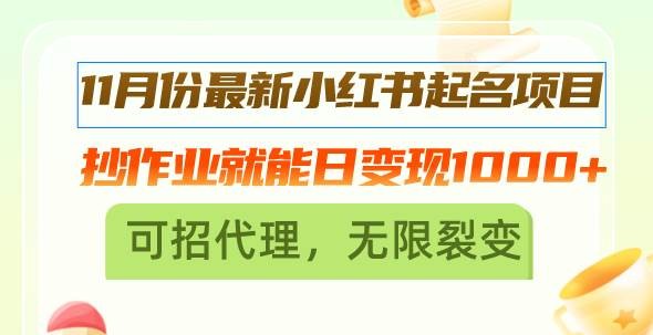 11月份最新小红书起名项目，抄作业就能日变现1000+，可招代理，无限裂变