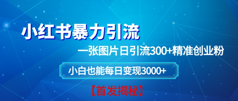 小红书暴力引流法，一张图片日引 300+精准创业粉，每日稳定变现 3000+【揭秘】