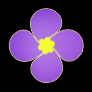 Android 紫金草视频 v4.6.0 去广告纯净版